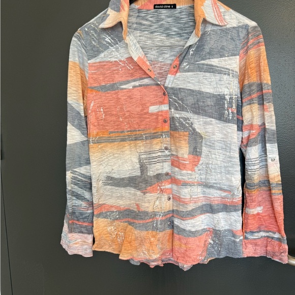 David Cline S EUC Orange Gray Cream Button Down Shirt- silver accents cotton - Picture 4 of 15